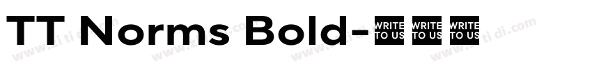 TT Norms Bold字体转换 TT Norms Bold字体转换